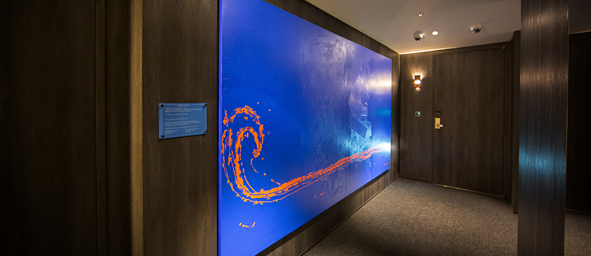 COLOR SHOWROOM