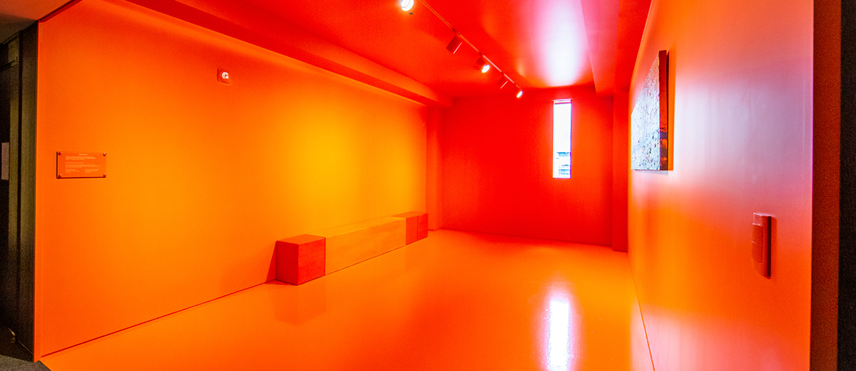 COLOR SHOWROOM